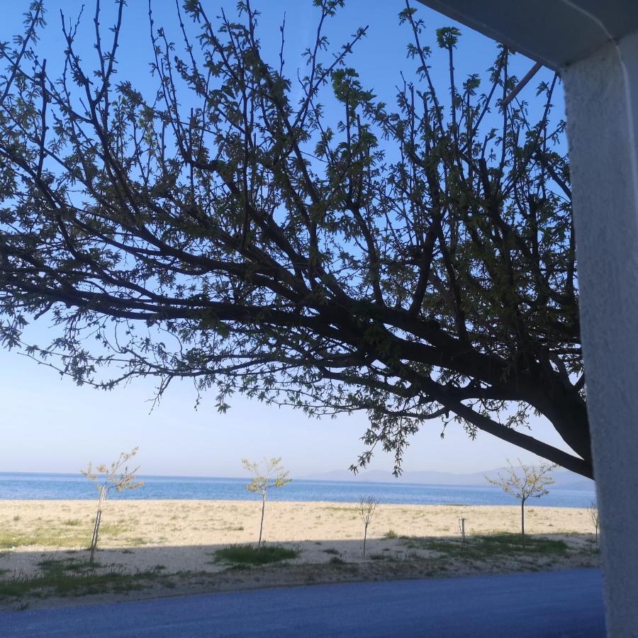 Greece Asprovalta Rooms Accomodation Apartment Hotel Petalo Exterior photo